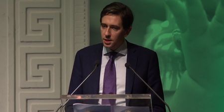 Simon Harris outlines legislation the government would propose should the Eighth Amendment be repealed
