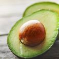 Tesco Ireland go all ‘notions’ with the launch of miniature avocados