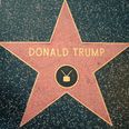 Donald Trump’s star on the Hollywood Walk of Fame has been smashed by a pick axe