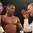 Everyone had the same thought about the referee during Anthony Joshua’s victory over Joseph Parker