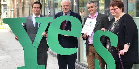 Inclusion Ireland joins Together For Yes campaign in seeking yes vote