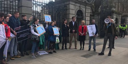 DCU students spent the day protesting rent increases outside the Dáil