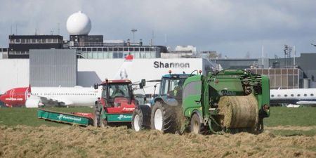 Shannon Airport’s gesture to struggling farmers is pure class