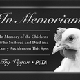 PETA ask Waterford Mayor to erect memorial plaque for chickens killed in motorway accident