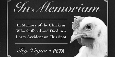 PETA ask Waterford Mayor to erect memorial plaque for chickens killed in motorway accident