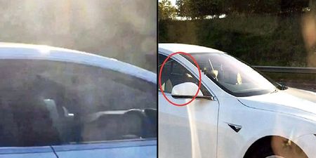 WATCH: Man banned from driving for riding Tesla down motorway in passenger seat