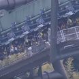 WATCH: Rollercoaster stalls mid-twist, leaving dozens of people hanging upside down for hours