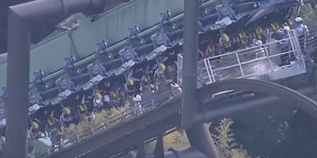 WATCH: Rollercoaster stalls mid-twist, leaving dozens of people hanging upside down for hours