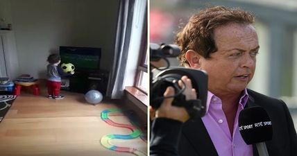 WATCH: Two-year old hurling fan delivers commentary performance worthy of Marty Morrissey