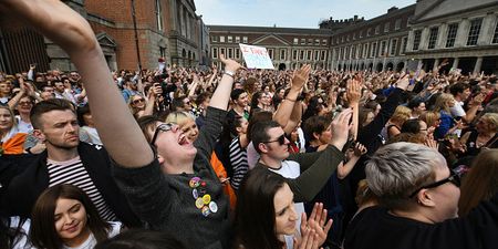 “We will rise again” – Save the 8th issues press release following abolishment of Eighth Amendment