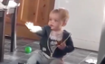 Cork baby is completely amazed after seeing sunshine for the first time