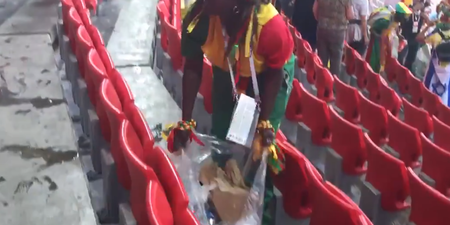 WATCH: Senegal fans take a leaf out of Irish fans book and clean up after themselves in stadium
