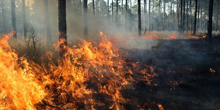 A status orange forest fire warning has been issued for all of Ireland until Tuesday