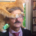 Doctor interviewed on live TV gets hilariously interrupted by his cat
