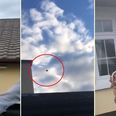 WATCH: Mayo lad catches a burger, thrown over a house, between two buns, and it’s as amazing as it sounds