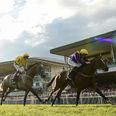 WIN: Halo and JOE are offering you a brilliant prize for the Galway Races