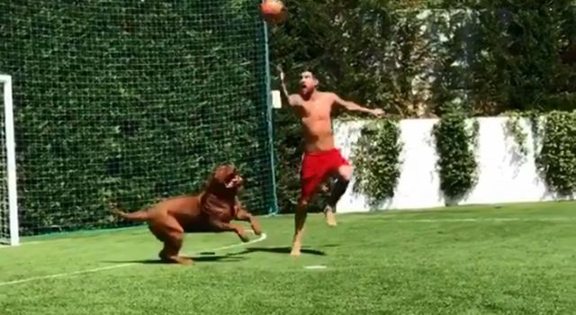 Lionel Messi dog