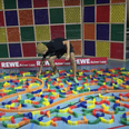 World record attempt at longest domino chain ruined by fly after agonising set-up