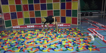 World record attempt at longest domino chain ruined by fly after agonising set-up