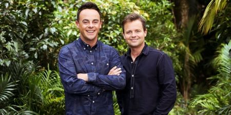 Ant McPartlin quits I’m a Celebrity… Get Me Out of Here
