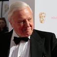 The BBC has revealed David Attenborough’s next must-see nature documentary