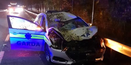 Gardaí hospitalised after patrol car collides with runaway horse in Limerick