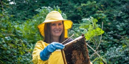 Irish heather honey found to have health benefits “comparable to manuka honey”