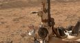 WATCH: NASA Rover shares incredible 360-degree ‘selfie’ from the surface of Mars