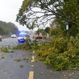 Here are all the roads across the country affected by fallen trees due to Storm Ali