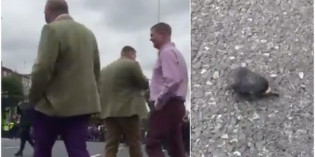 Man shouts abuse and throws dead pigeon’s head at protesters in Dublin