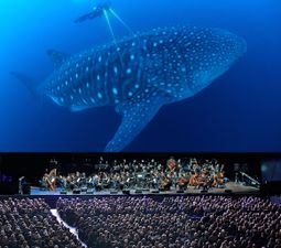 BBC’s gorgeous Blue Planet II is coming to Ireland live in concert