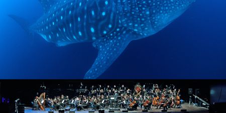 BBC’s gorgeous Blue Planet II is coming to Ireland live in concert
