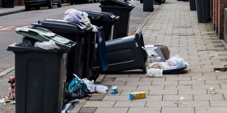 Fingal County Council warns public of “unauthorised rubbish collector”