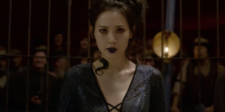The Fantastic Beasts trailer confirmed a massive character twist