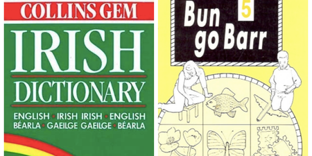 QUIZ: Can you guess what these Irish words mean in English?