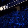 Las Vegas Police Department release statement following scenes of fans fighting after UFC 229