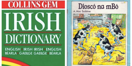 QUIZ: Can you guess what these Irish words mean in English? (Part Two)