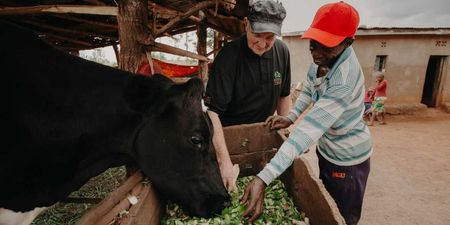 Kerry farmer donates his last dairy cow to Rwandan family and it has helped to change lives