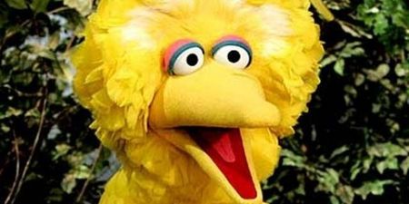 The man who played Big Bird for the past 50 years has retired
