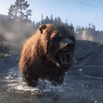 Red Dead Redemption II’s bear attacks are terrifying in first person mode