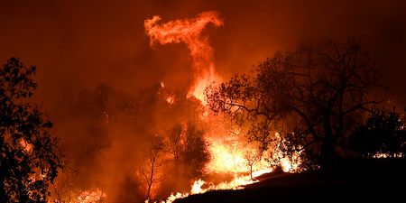 At least nine dead in California wildfire, celebrities forced to flee their homes