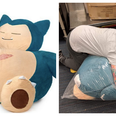 Drunk man buys a gigantic Pokémon after having a few, epic quest to get Snorlax delivered starts