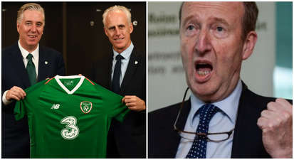 Shane Ross made a few gaffes while talking about Irish football during a recent interview
