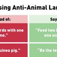 PETA want people to change the way they use everyday phrases to stop “speciesism”
