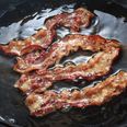 “Bring home the bacon” debate is a case study in how stupid we’ve all become