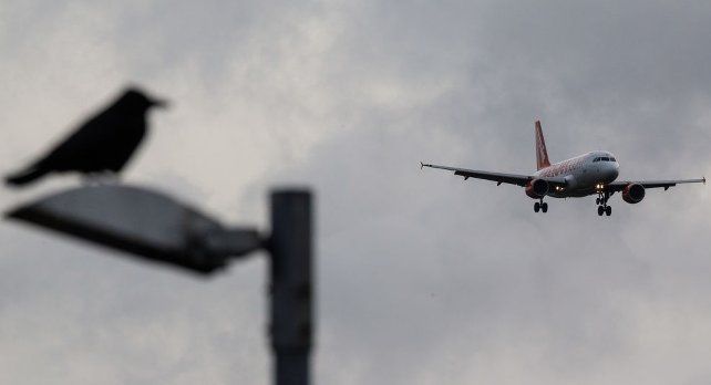 Gatwick Airport drone arrests