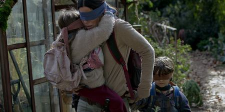 Netflix plead with people to stop doing the Bird Box challenge