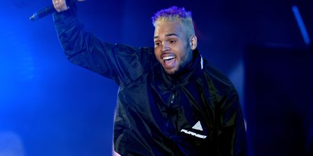 Chris Brown could face six months in prison after his pet monkey is seized