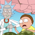 Rick and Morty is coming to television for the first time