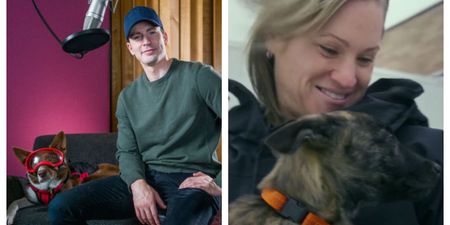 WATCH: Chris Evans narrates this powerful documentary about dogs trained to save people’s lives